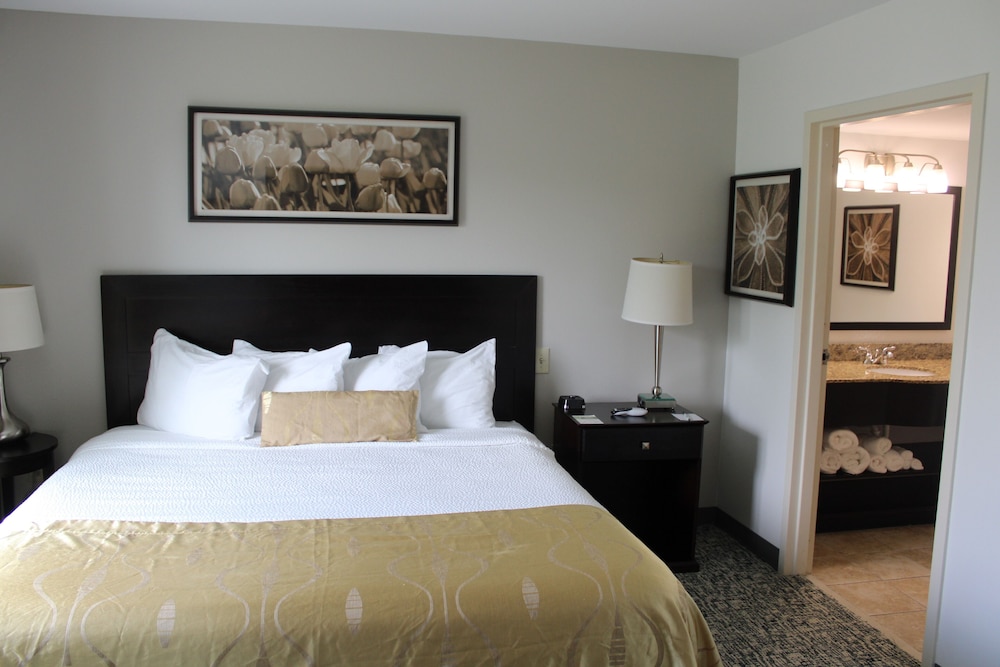 Deluxe Studio Suite, 1 King Bed, Non Smoking - Photo 6