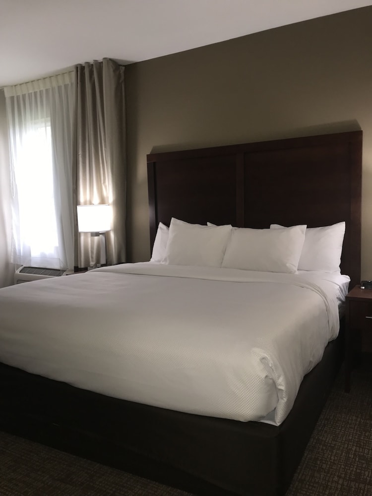 Room, 1 King Bed with Sofa bed, Non Smoking photo 2