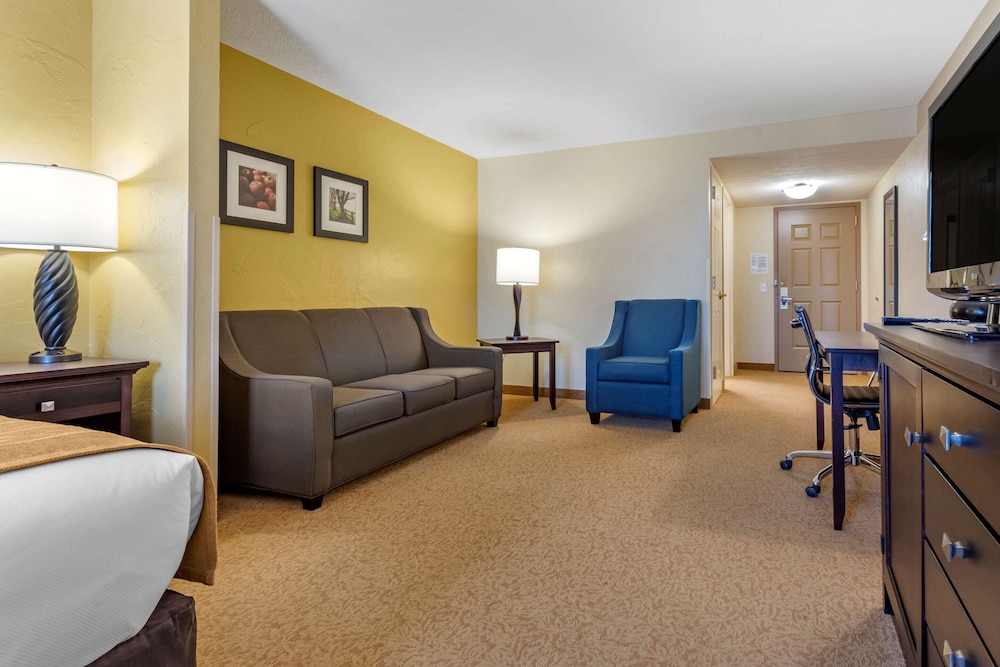 Suite, 1 King Bed with Sofa bed, Non Smoking (Large Room) - Photo 2