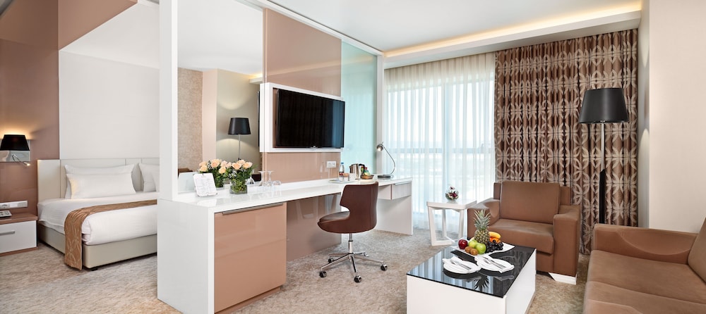 Executive Room photo 1