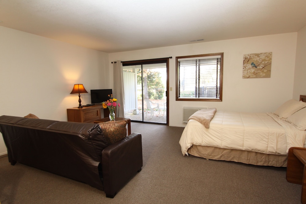 Deluxe Suite photo 2