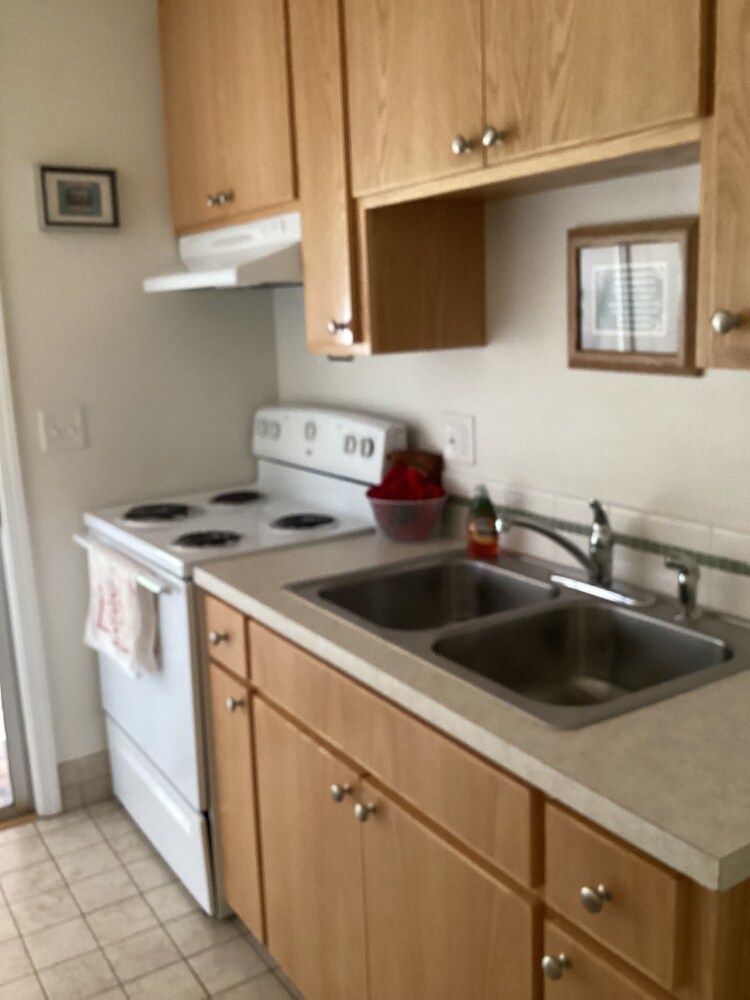 Full Kitchen Single King No Pets photo 3