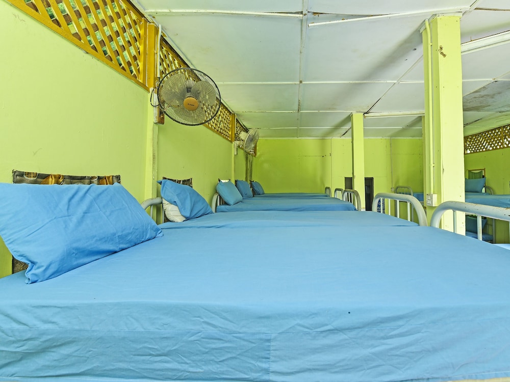 Shared Dormitory, Women only photo 1