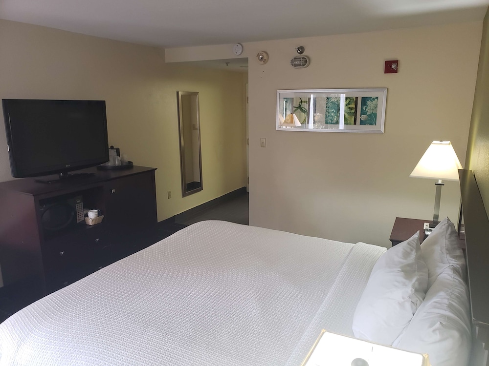 Standard Room, 1 King Bed, Non Smoking, Refrigerator & Microwave - Photo 4