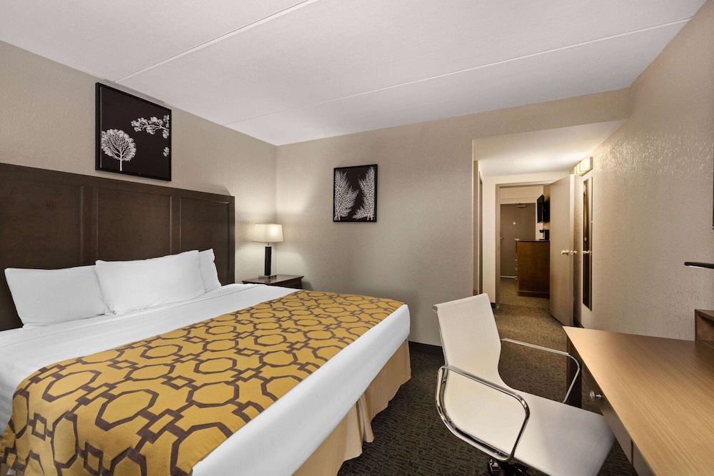 Suite, 1 Bedroom, Non Smoking (Pet Friendly) photo 1