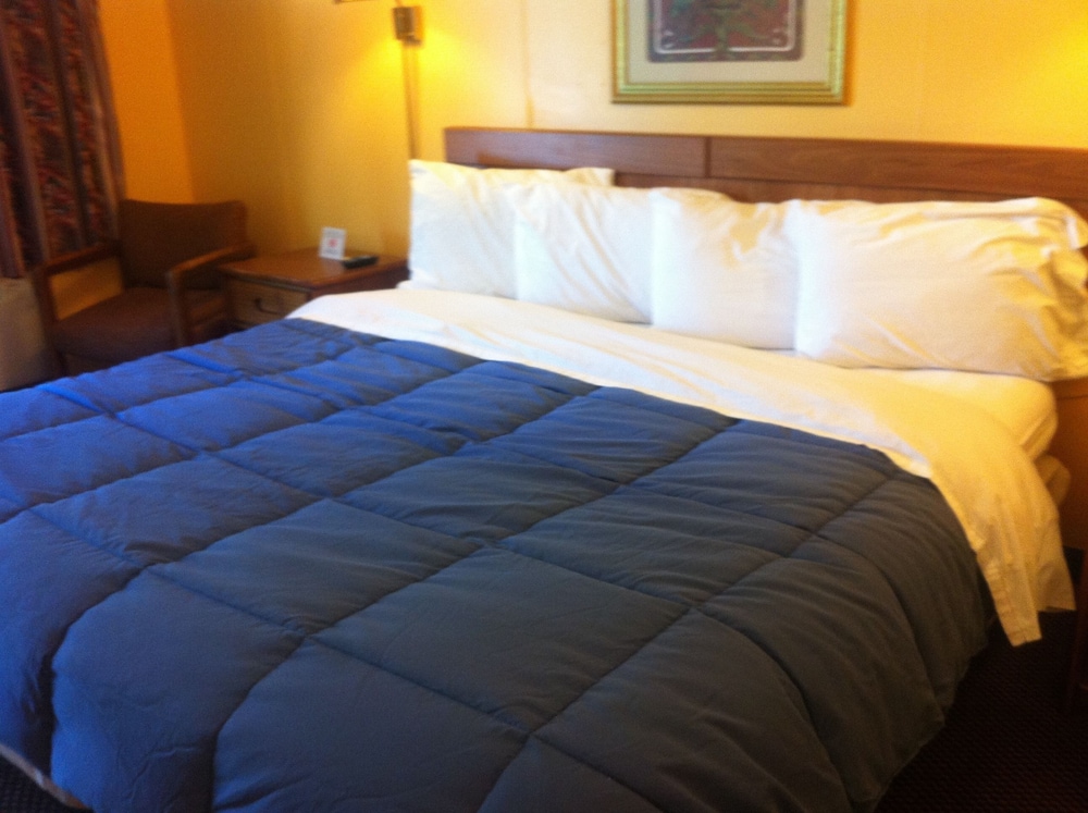 Room, 1 King Bed photo 1