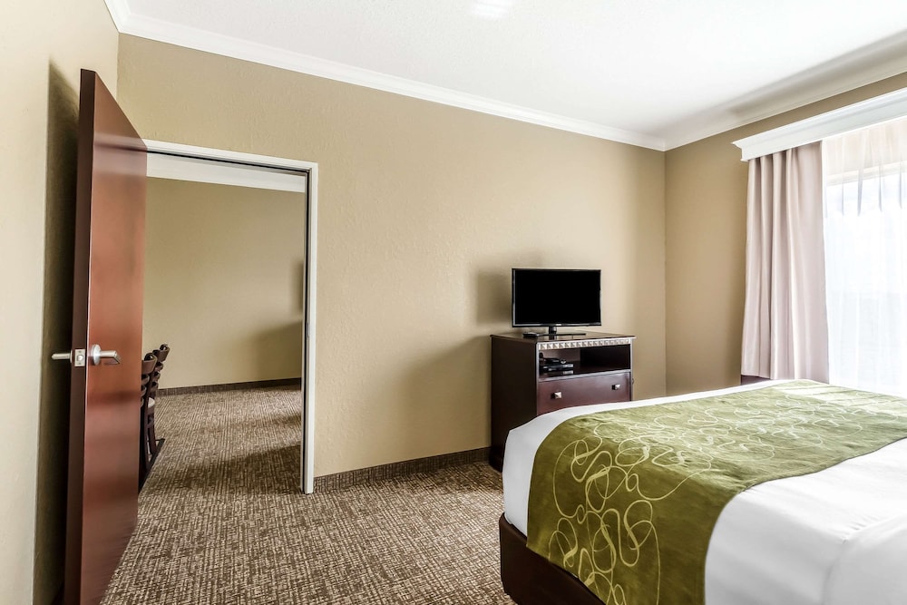 Efficiency, Suite, 1 King Bed, Non Smoking - Photo 4