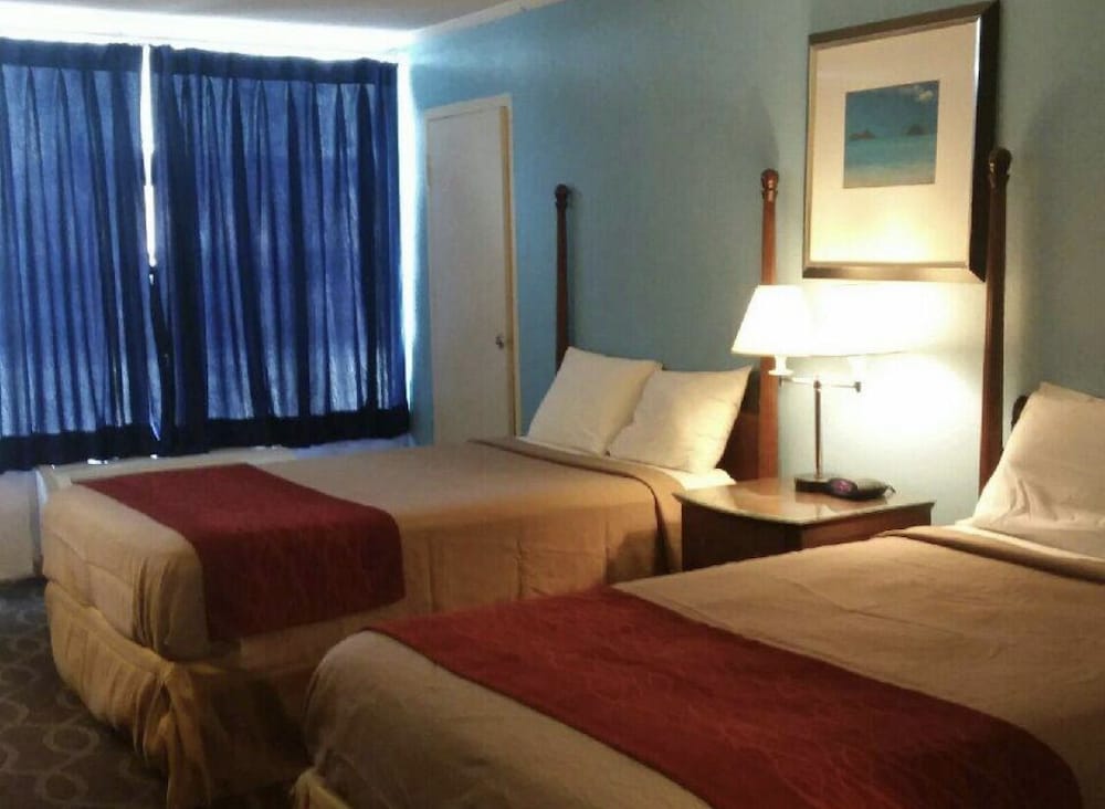 Deluxe Double Room Single Use photo 1