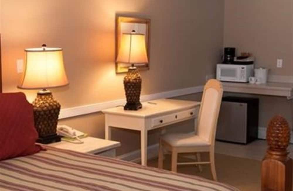 Handicap Room, Room with One King Bed and Queen Sleep Sofa photo 2