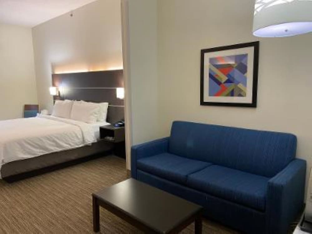 Suite, 1 King Bed with Sofa bed