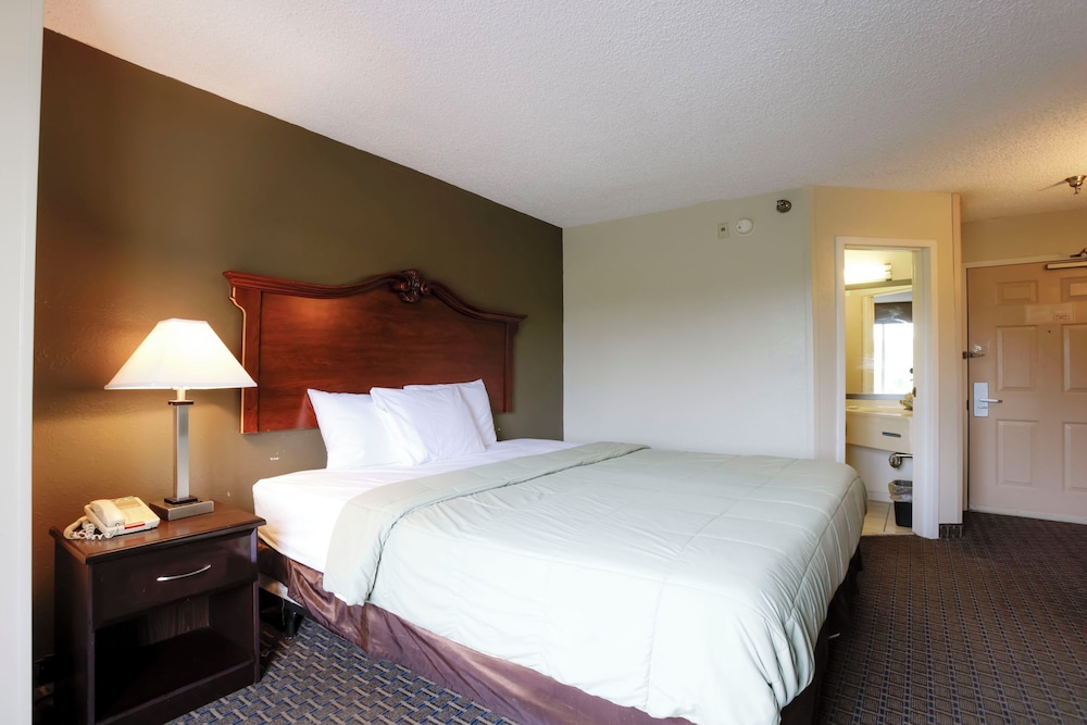 Suite, 1 King Bed - Photo 4
