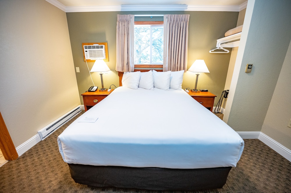 Junior Studio Suite, 1 Bedroom, Refrigerator & Microwave photo 3