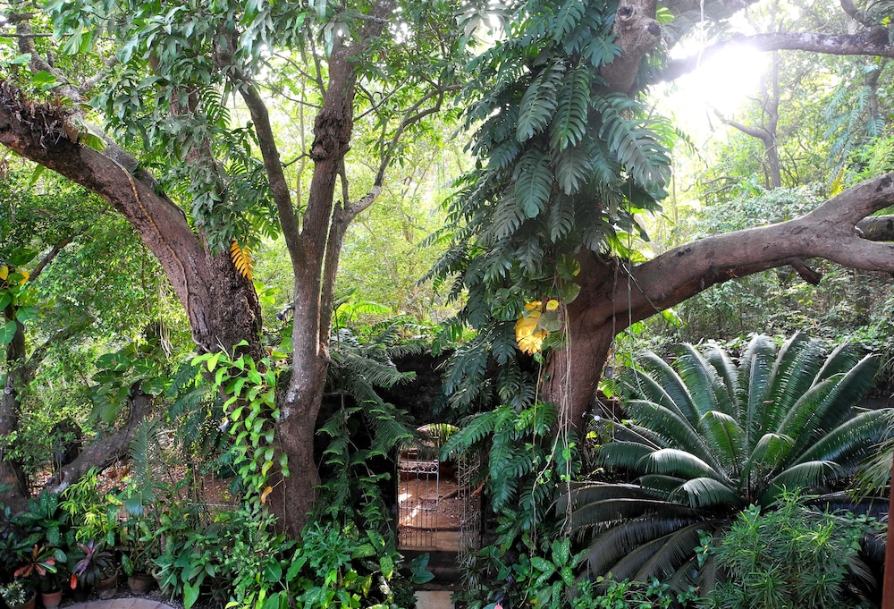 Garden Room photo 2