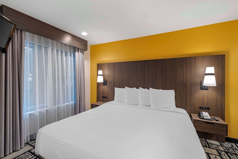 Suite, 1 King Bed, Accessible, Non Smoking (With Sofabed) - Photo 2