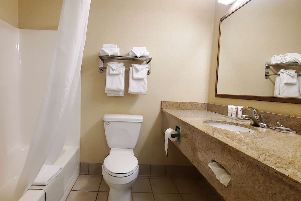 Suite, 1 King Bed, Non Smoking - Photo 10