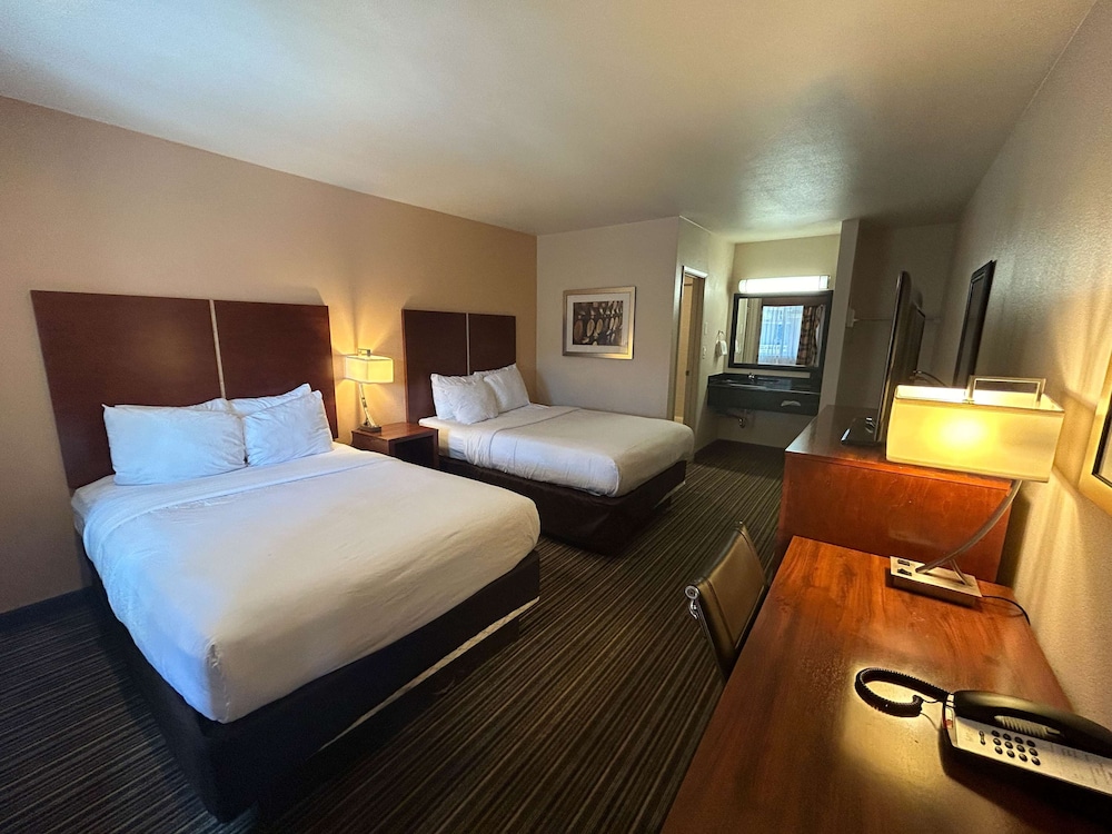 Standard Room, 2 Double Beds, Non Smoking, Refrigerator & Microwave - Photo 1