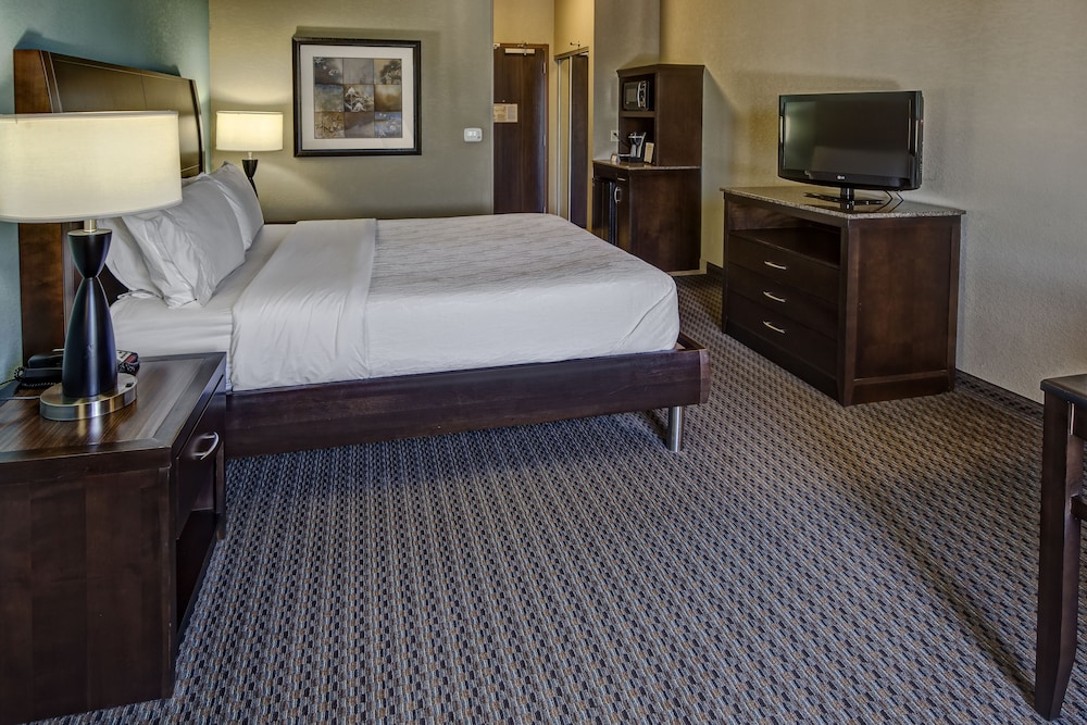 Room, 1 King Bed, Accessible (Roll-In Shower) - Photo 3