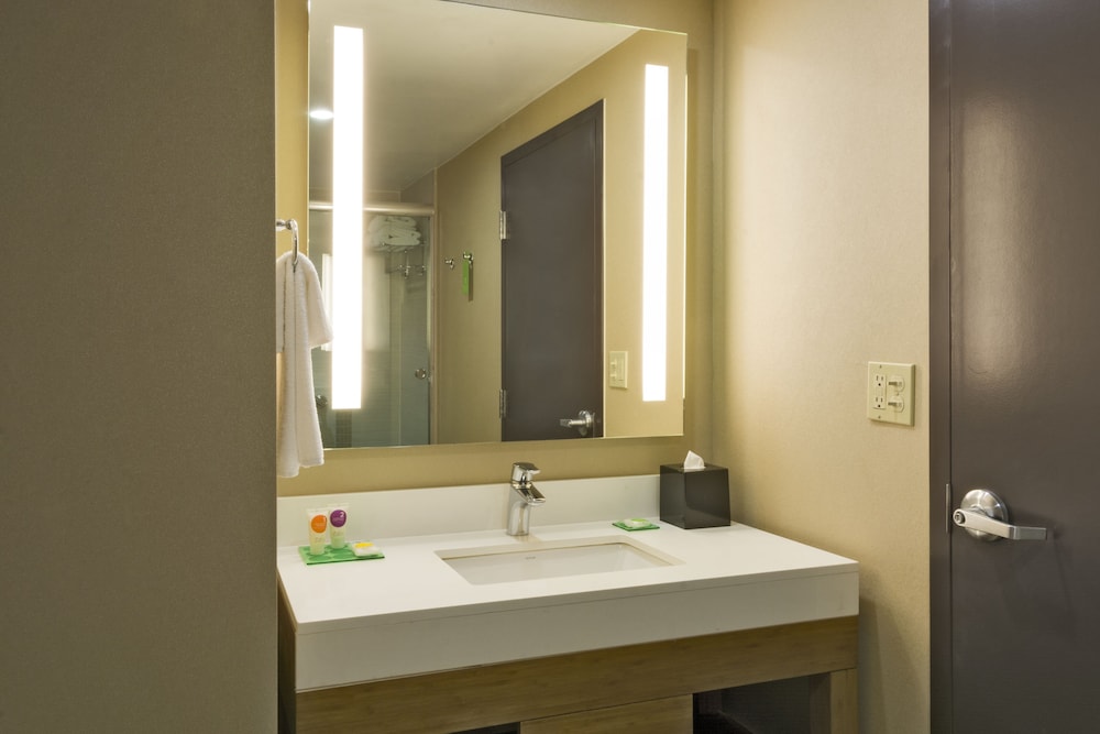 Suite, 1 King Bed With Sofa Bed