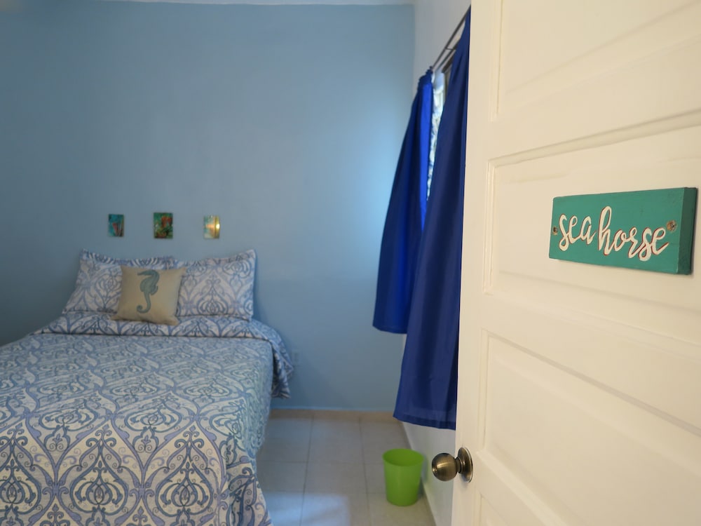 Double Room, Ground Floor (Seahorse #4) (Snorkel & Paddle Board Equipment Included)