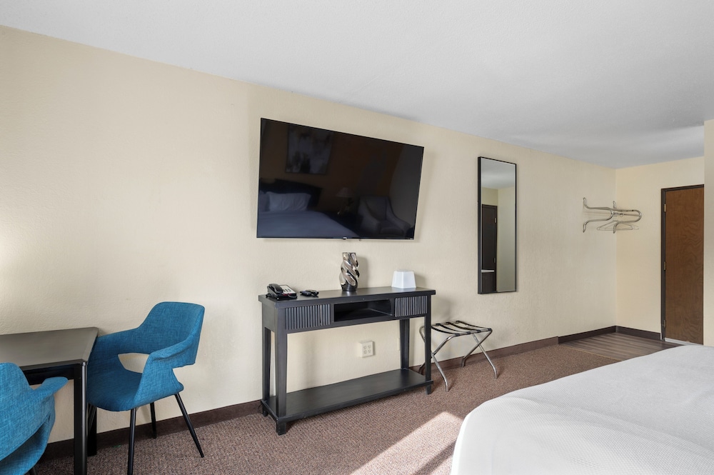 Single King Room photo 3