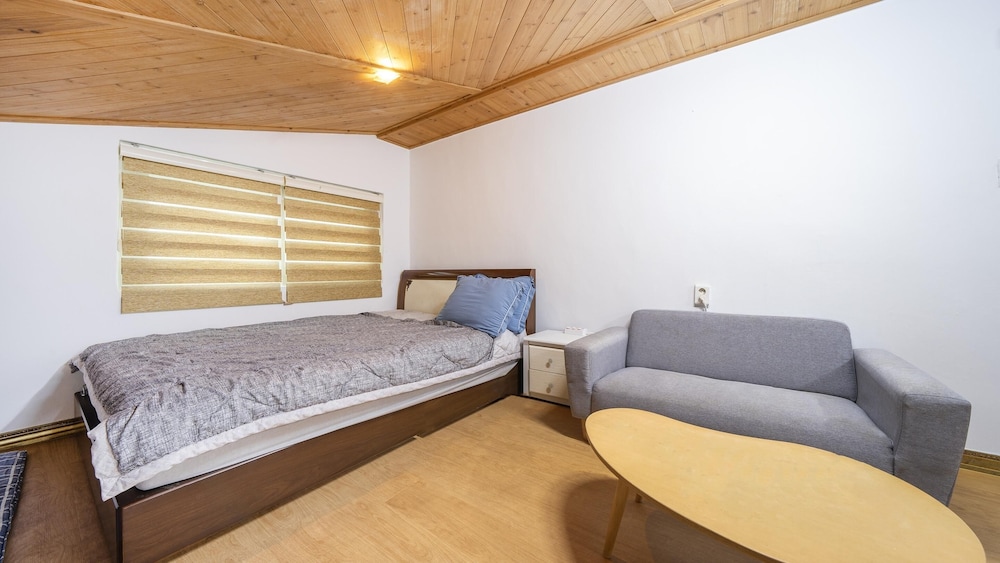 Basic Room, 1 Bedroom (Haesong) photo 3