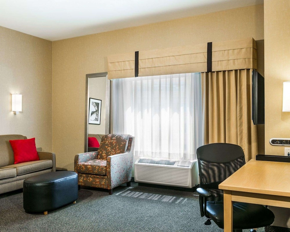 Suite, 1 King Bed with Sofa bed, Accessible, Non Smoking (Upgrade) - Photo 5