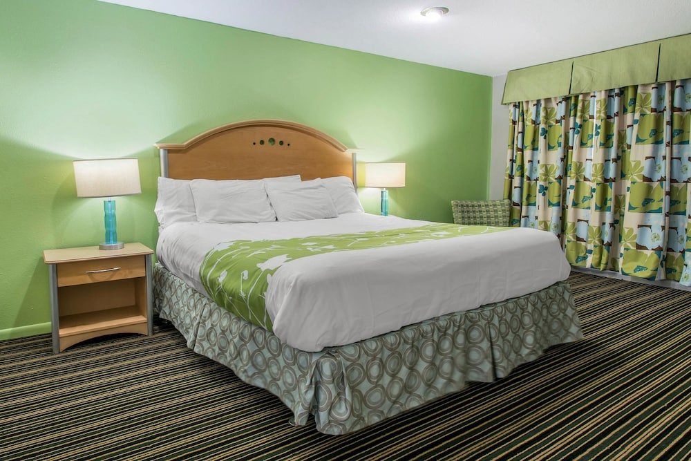 Standard Room, 1 King Bed, Non Smoking - Photo 1