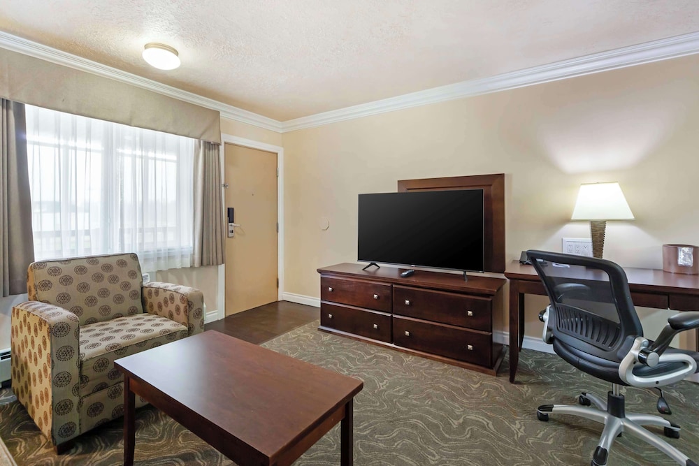 Standard Apartment, 1 Queen Bed, Non Smoking, Kitchen (Living Room;with Sofabed,FullKit) - Photo 4