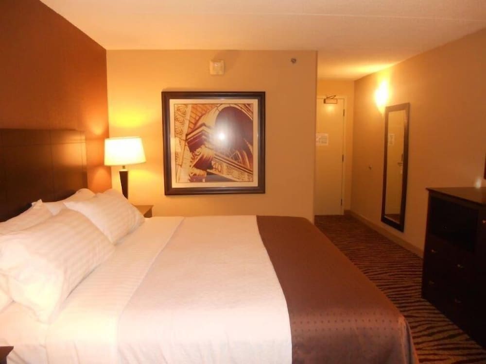 Standard Room, 1 King Bed, Accessible (Communication, Accessible Tub) - Photo 3