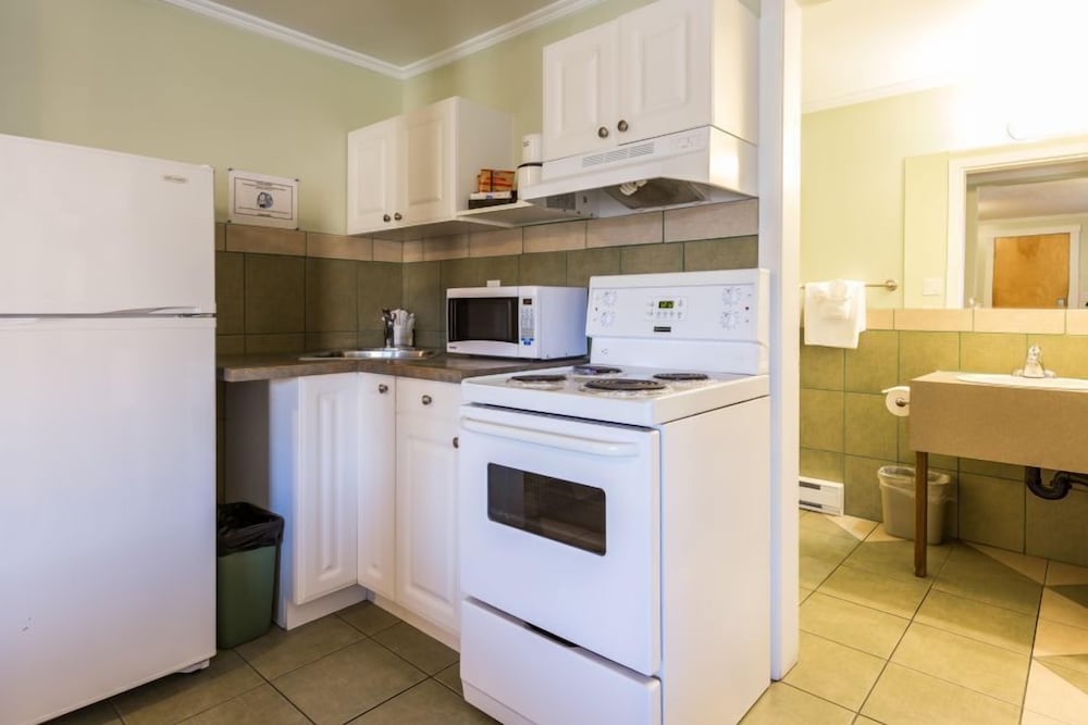 Standard Room, 1 Bedroom, Kitchen photo 3