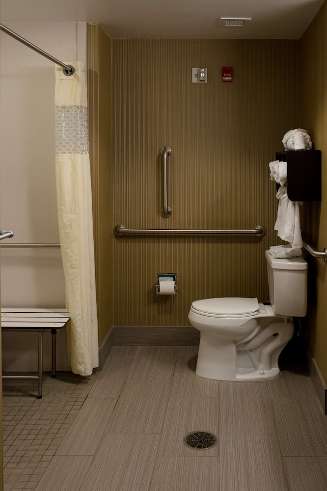 Room, 1 King Bed, Accessible (Roll-In Shower) photo 3