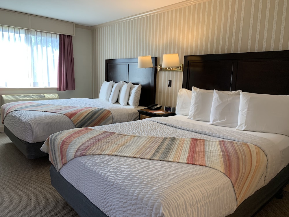 Room, 2 Queen Beds, Kitchenette