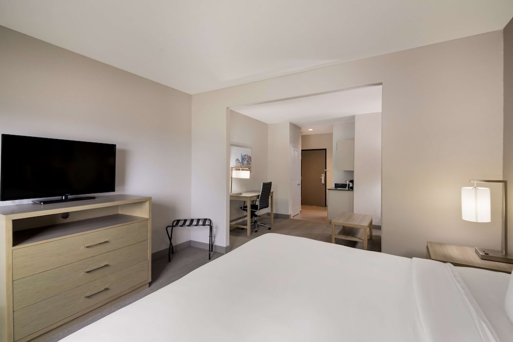 Standard Room, 1 King Bed, Non Smoking, Refrigerator & Microwave (with Sofabed) - Photo 3