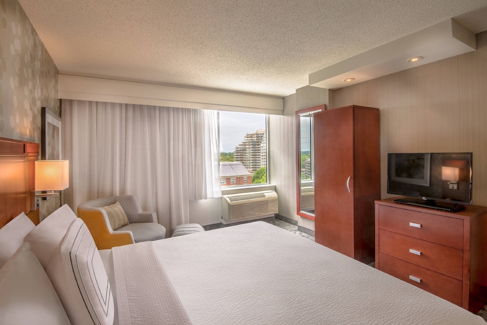 Suite, 1 Bedroom photo 2