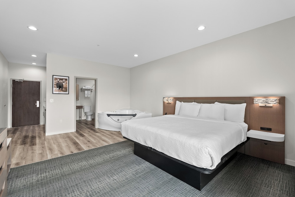 Glacier Suite