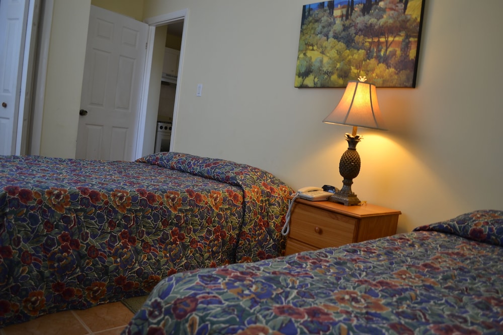 Deluxe Apartment, 2 Double Beds, Kitchen photo 3