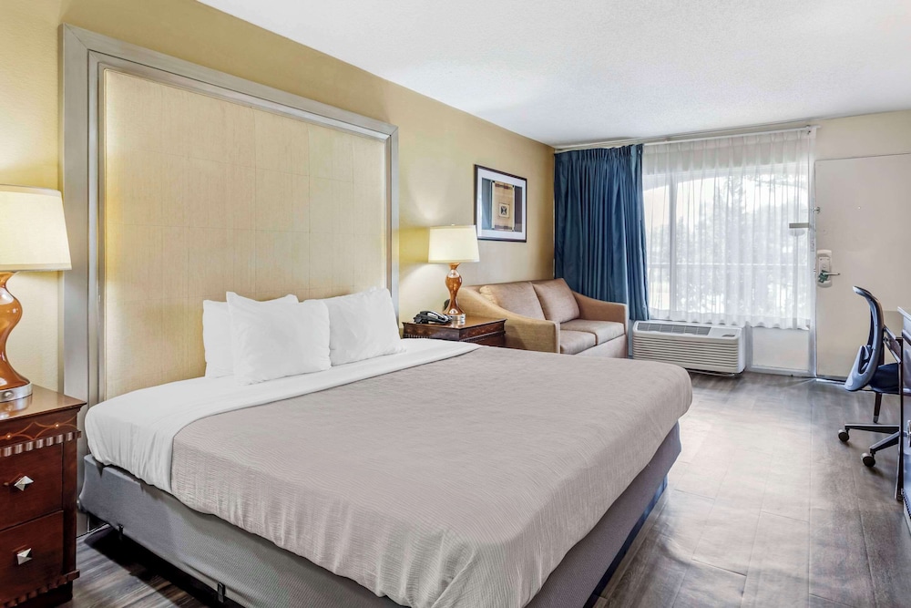 Suite, 1 King Bed with Sofa bed, Non Smoking photo 1