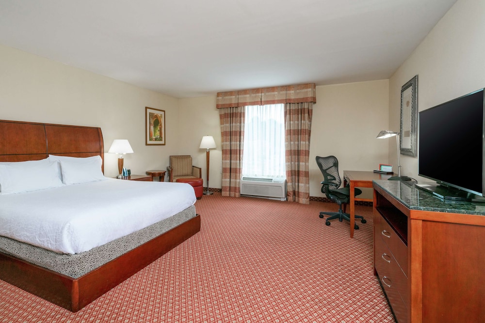 Room, 1 King Bed, Accessible - Photo 1