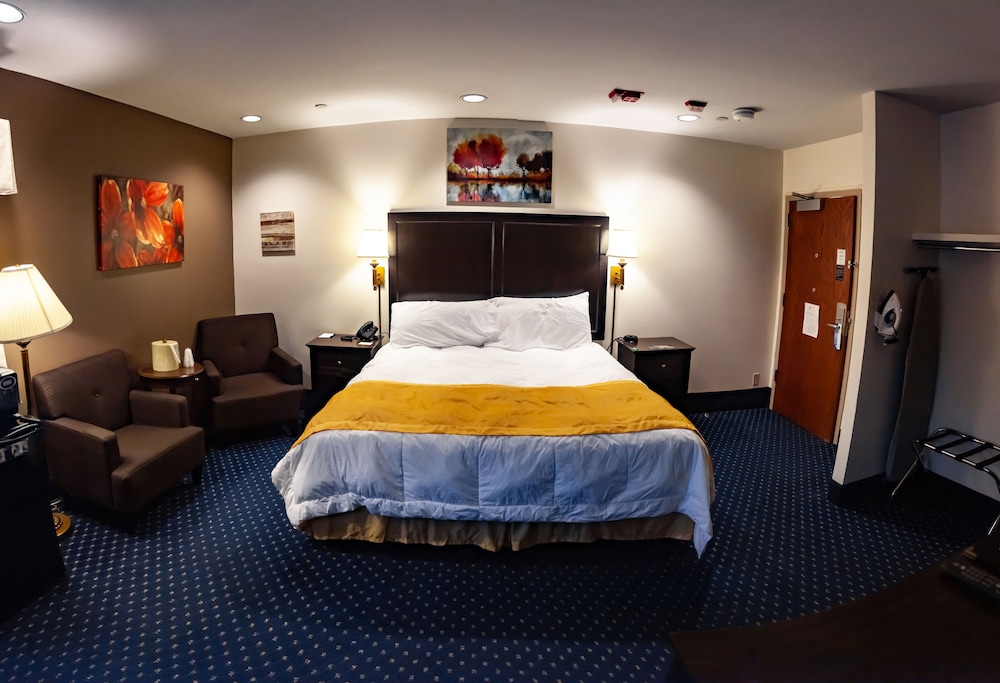 Standard Single Room, 1 King Bed, Accessible, Non Smoking photo 1