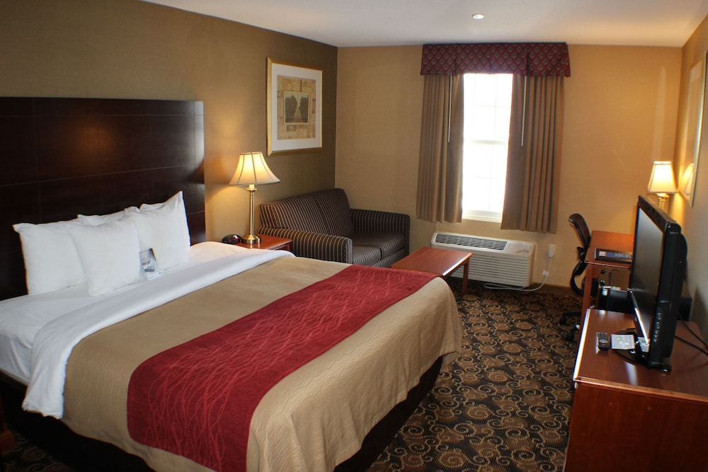 Standard Room, 1 King Bed, Non Smoking - Photo 2