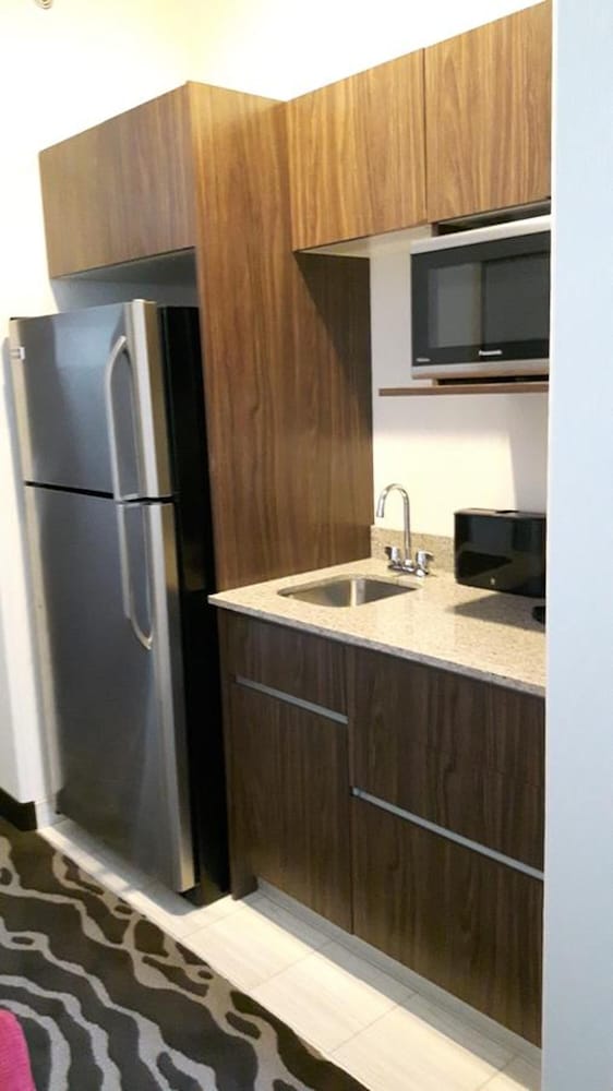 Accessible, Roll-in Shower, Standard Room, 1 King Bed photo 2