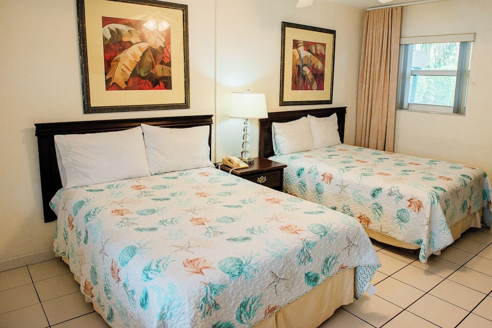 Studio, 2 Double Beds photo 2