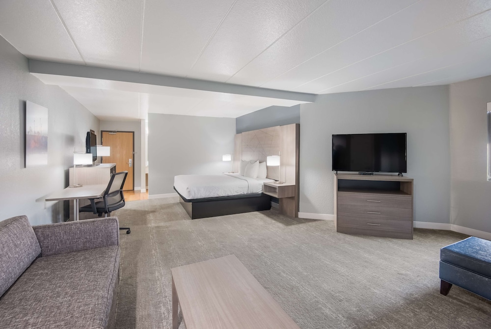 Suite, 1 King Bed, Non Smoking, Refrigerator & Microwave (with Sofabed) - Photo 6