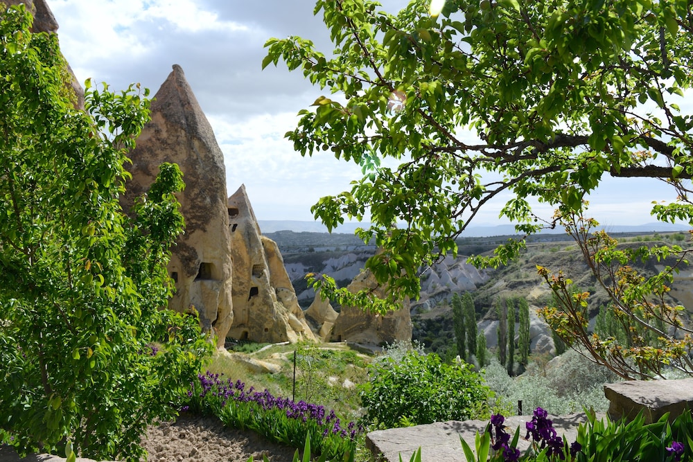 Honeymoon Suite, 1 Bedroom, Fireplace, Valley View