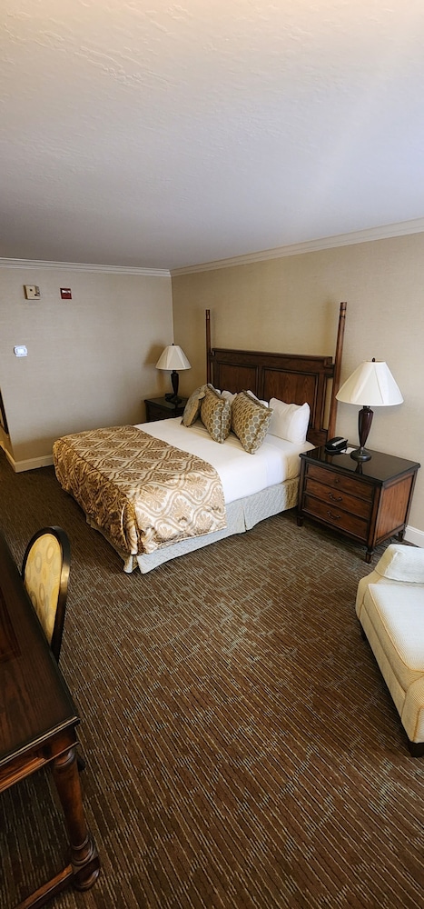 Basic Single Room, Accessible