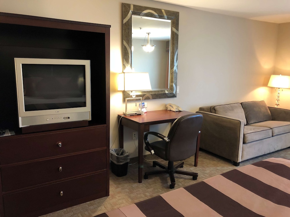 Executive Suite 1 King with Kitchen - Photo 5