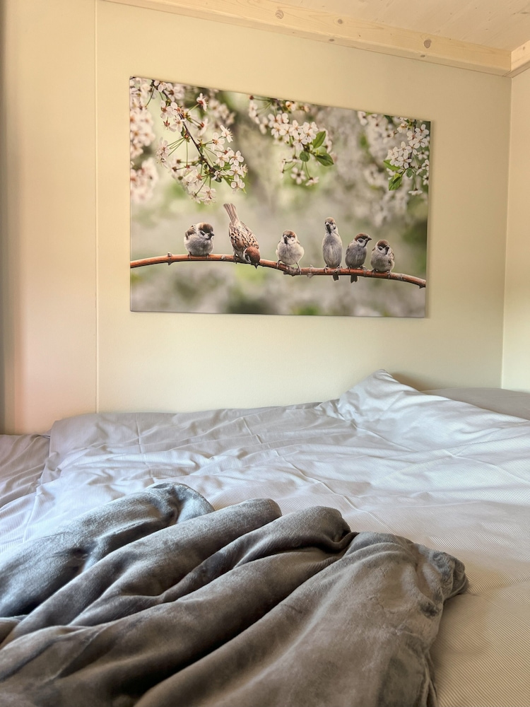 Comfort House photo 2