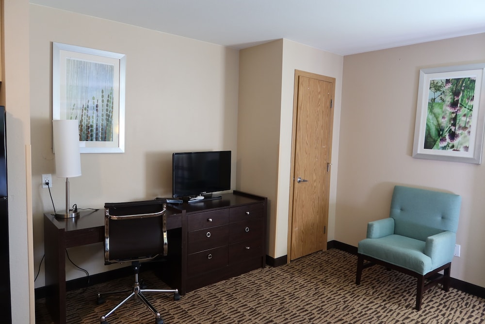 One-King - Deluxe Studio Suite - Photo 3