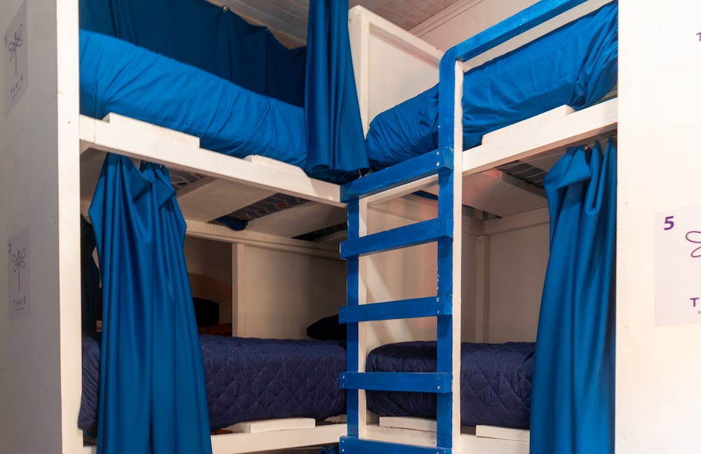 Classic Shared Dormitory photo 1