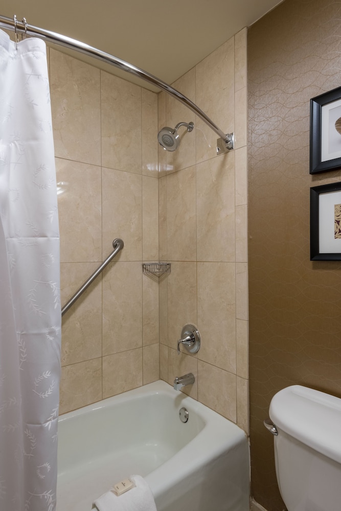Traditional Room, 2 Double Beds (Mobility Accessible, Roll-In Shower) - Photo 4
